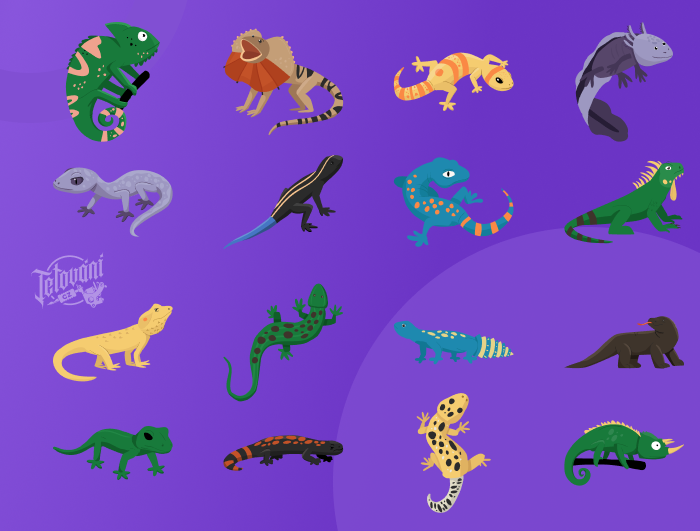 Význam tetování ještěrky