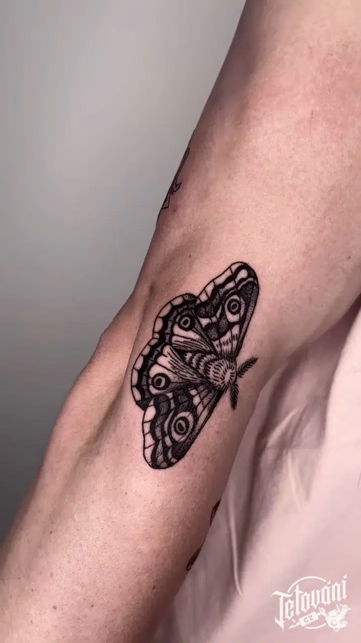 Tetování zvíře motýl na předloktí