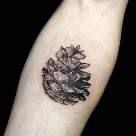 Tetování symbol přírody, lesa, šiška na předloktí