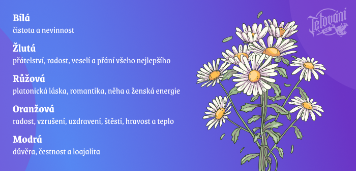 naděje na nové začátky