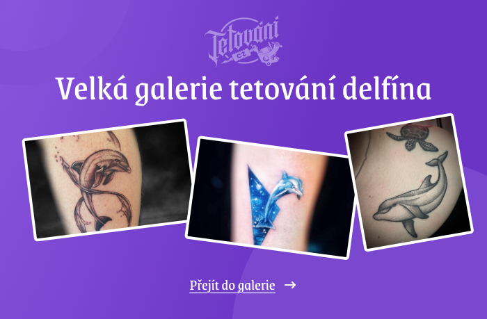 Galewrie tetování delfína_1 