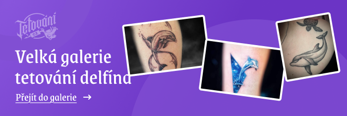 Galewrie tetování delfína_2 