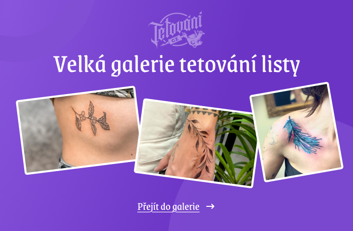 velká galerie listů 