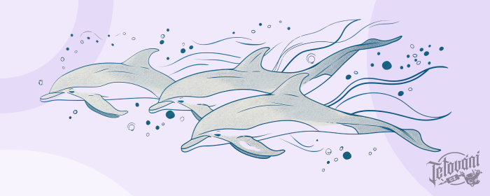 Význa, tetování delfína 