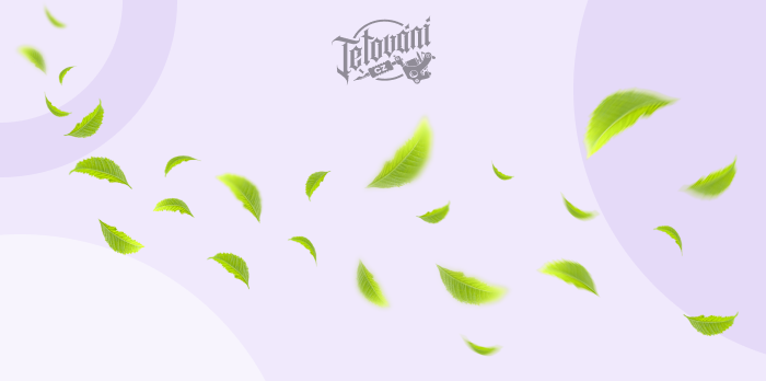  význam tetování listů 