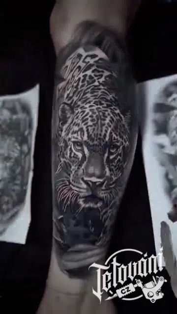 Tetování zvíře, gepard na lýtku