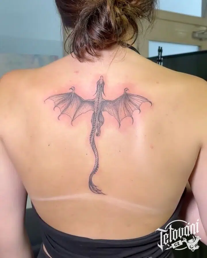 Tetování mýtická bytost, drak na zádech