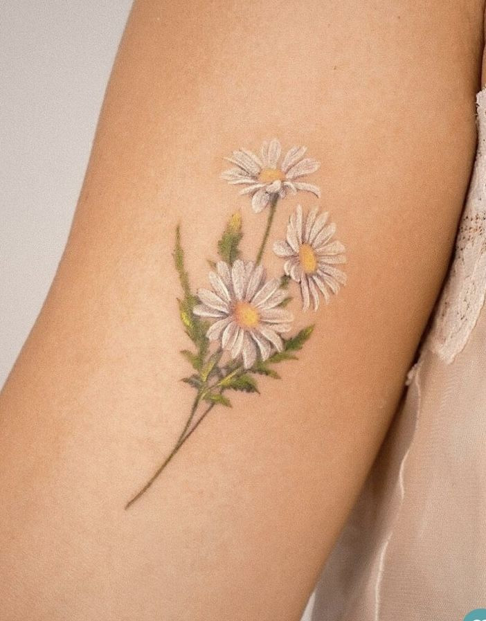 Malovaná kopretina jako tetování.