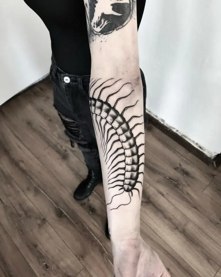 Tetování zvíře, stonožka na předloktí