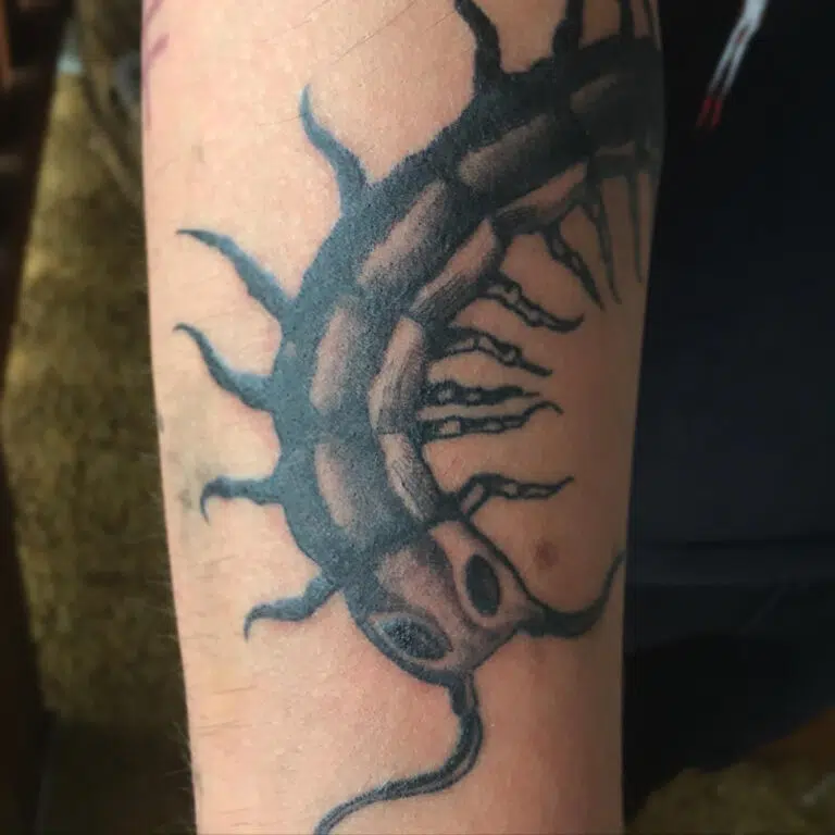 Tetování zvíře, stonožka na předloktí