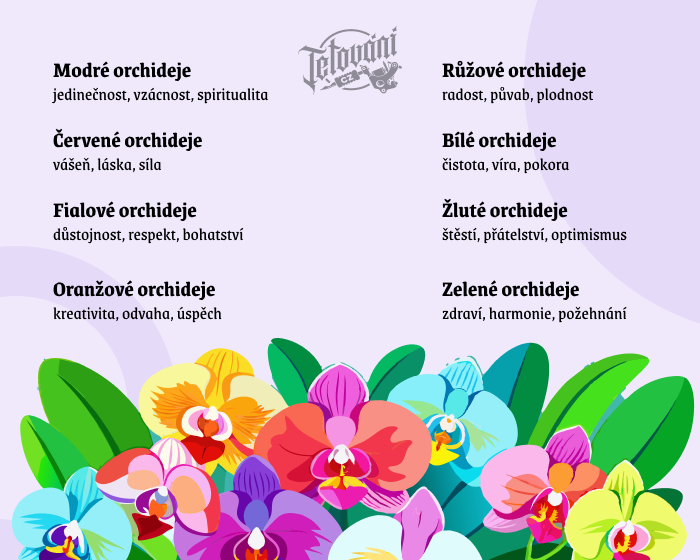 barevná symbolika orchidejí