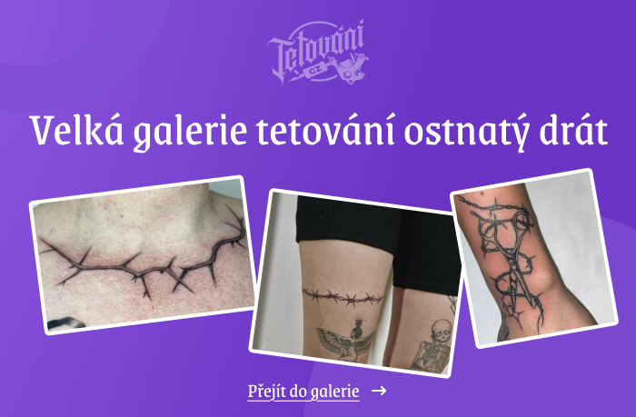  galerie ostnatý drát 1