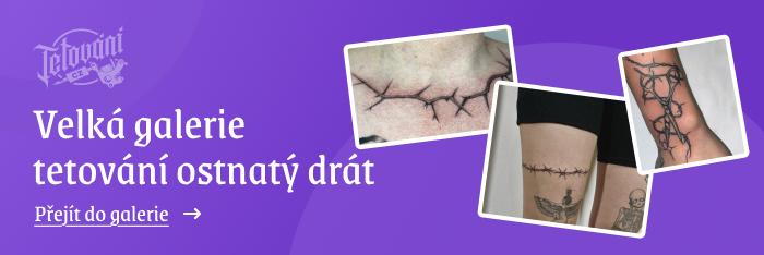  galerie ostnatý drát 2