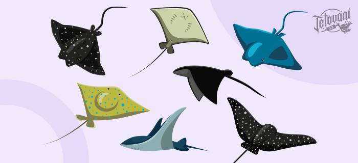  význam tetování rejnoka