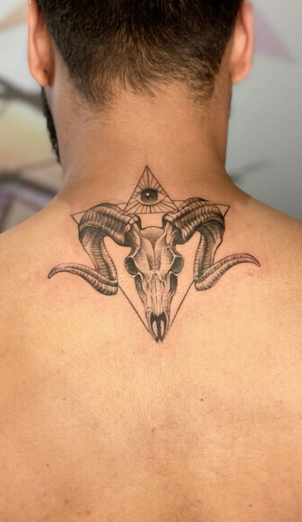 Lebka berana na krku.