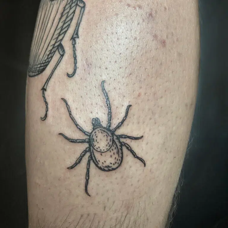 Tetování zvířata, brouk na holeň
