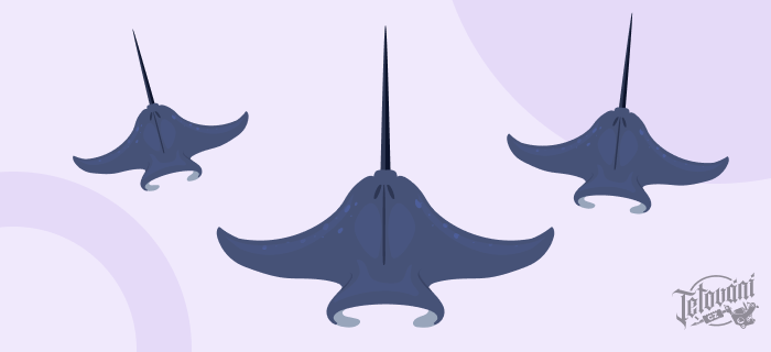  význam tetování rejnoka manta