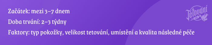  fáze hojení a loupání tetování