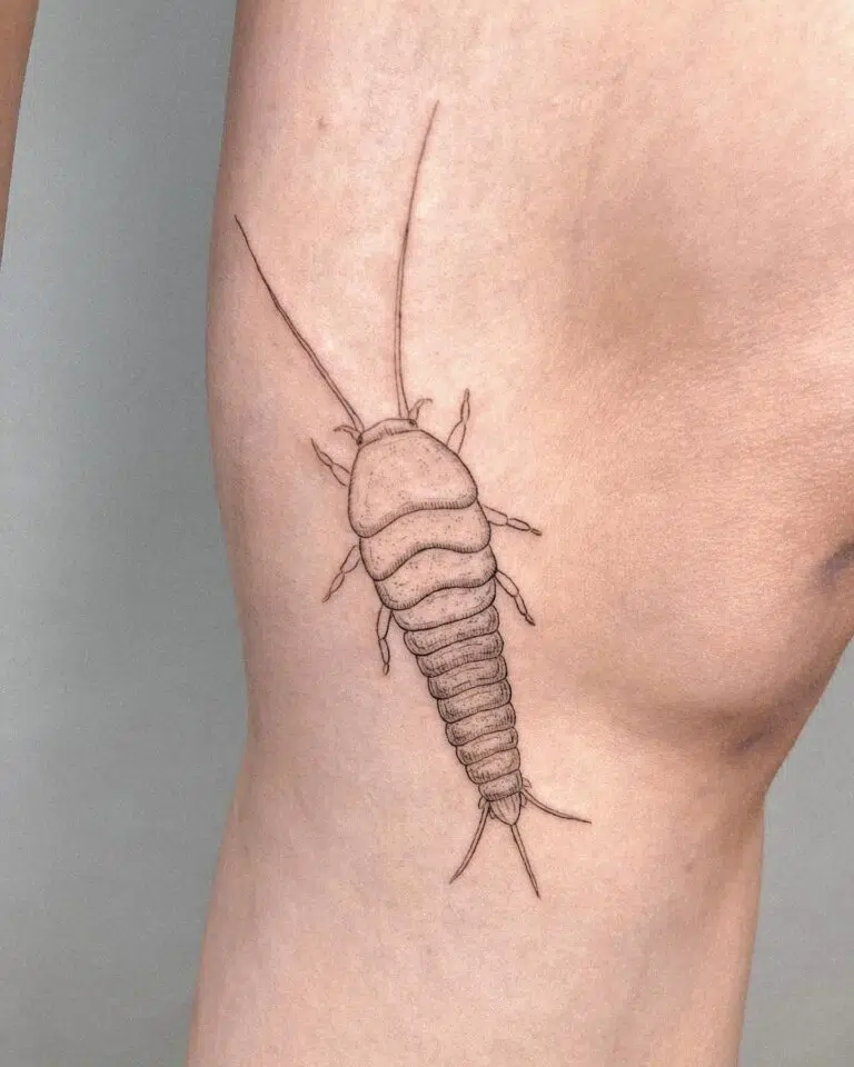 Tetování zvíře na koleni