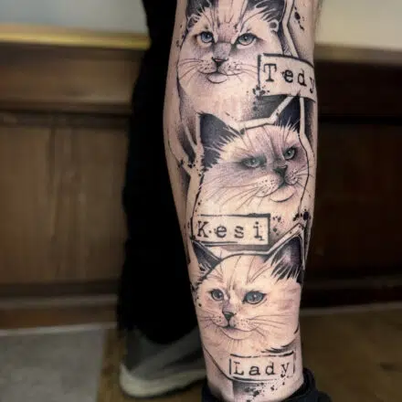 Tetování zvířata, kočky se jmény na lýtku