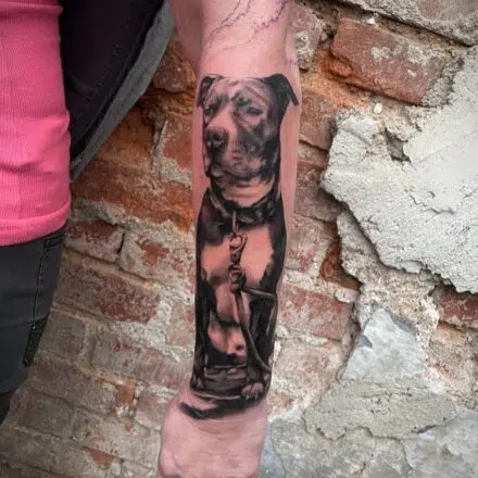 Tetování zvíře pes Staford na předloktí