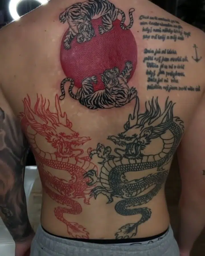 Tetování zvířata, tygři, draci a japonské symboly na záda