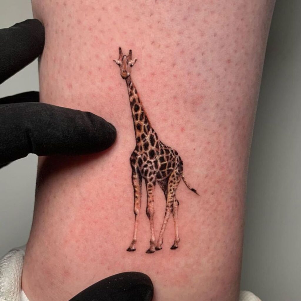 Tetování žiraf.