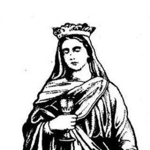 Barboranebarbora