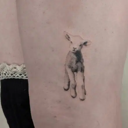Tetování ovce, zvíře na stehno