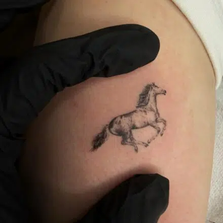 Tetování zvíře kůň na rameno