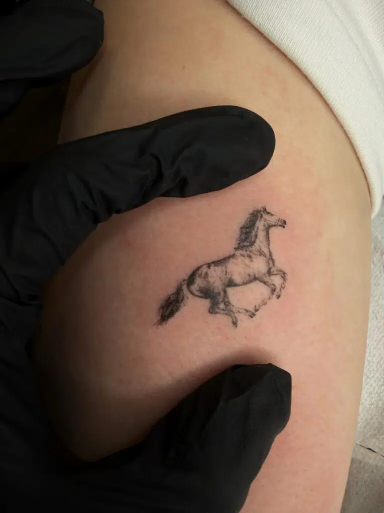 Tetování zvíře kůň na rameno