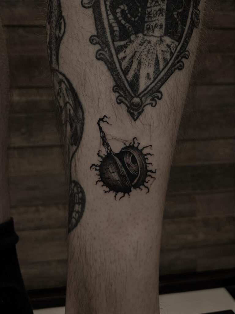 Tetování symbol života, skořápka ořechu na holeň