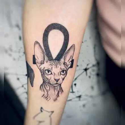 Tetování nilského kříže a sphynx kočky na předloktí
