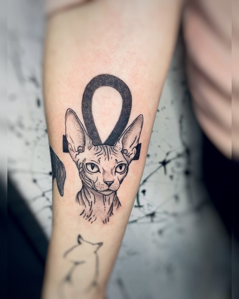 Tetování nilského kříže a sphynx kočky na předloktí